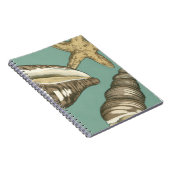 Kleine schelp trio op turquoise notitieboek (Rechterzijde)