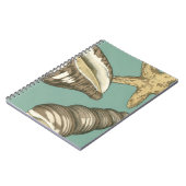 Kleine schelp trio op turquoise notitieboek (Linkerzijde)