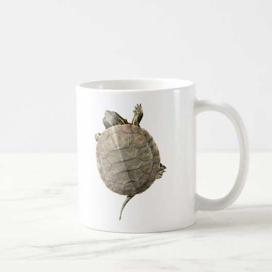 Kleine schildpad die omhoog kruipt aan Mok (Rechts)