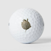 Kleine Schildpad Golfballen (Voorkant)