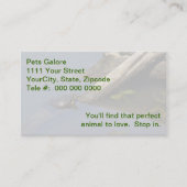 Kleine schildpad op een log visitekaartje (Voorkant)