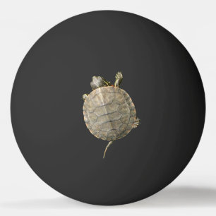 Kleine schildpad op zwart pingpongbal