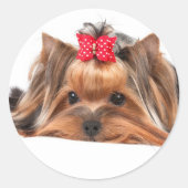 Kleine schoonheid ronde sticker (Voorkant)