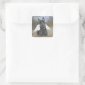 Kleine Scottie-engel Vierkante Sticker (Tas)