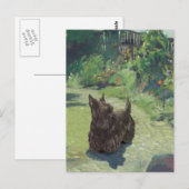 Kleine Scottie in de tuin Briefkaart (Voorkant / Achterkant)