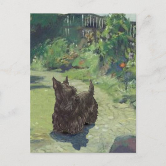 Kleine Scottie in de tuin Briefkaart (Voorkant)