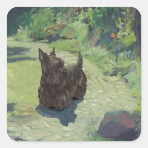 Kleine Scottie in de tuin Vierkante Sticker