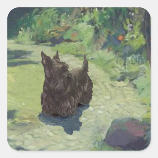 Kleine Scottie in de tuin Vierkante Sticker (Voorkant)