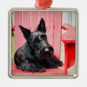Kleine Scottie in een grote rode stoel Metalen Ornament
