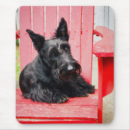 Kleine Scottie in een grote rode stoel Muismat