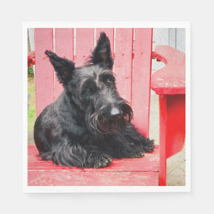 Kleine Scottie in een grote rode stoel Servet