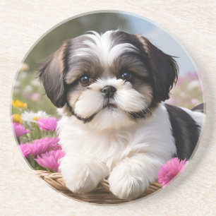 Kleine Shih Tzu Puppymand Bloemen Zandsteen Onderzetter