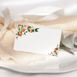 Kleine sinaasappels plaatskaartje