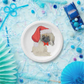 Kleine Sinterklaas Pekingees Papieren Bordje (Feest)