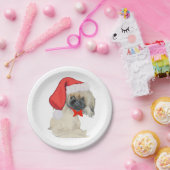 Kleine Sinterklaas Pekingees Papieren Bordje (Feest)