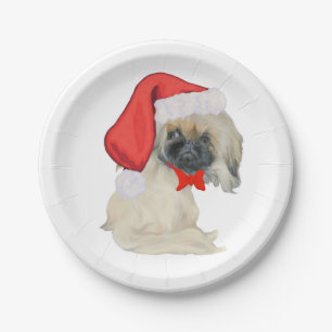 Kleine Sinterklaas Pekingees Papieren Bordje