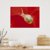 Kleine slak poster (Keuken)