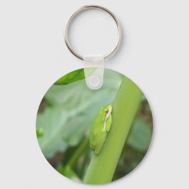 kleine slaperige groene boomkikker sleutelhanger