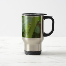 kleine slapgroene boomkikker reisbeker