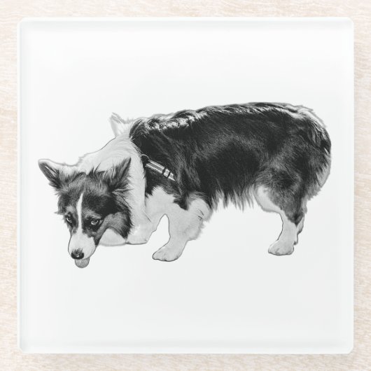 Kleine smaaktest glazen onderzetter (Voorkant)