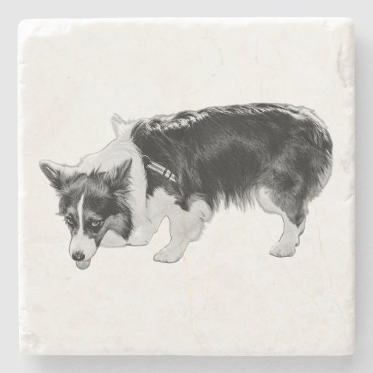 Kleine smaaktest stenen onderzetter (Voorkant)