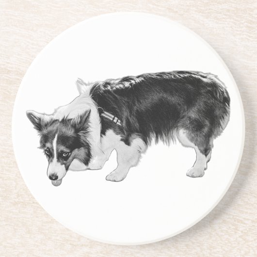 Kleine smaaktest zandsteen onderzetter (Voorkant)