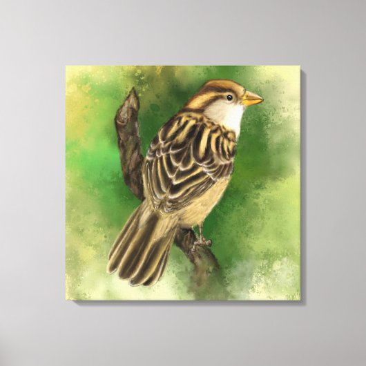 Kleine Sparrow Canvas Afdrukken - Schilderen - Gro (Voorkant)
