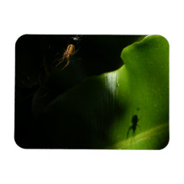 Kleine Spider Fotomagneet Magneet