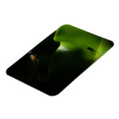 Kleine Spider Fotomagneet Magneet (Linkerzijde)