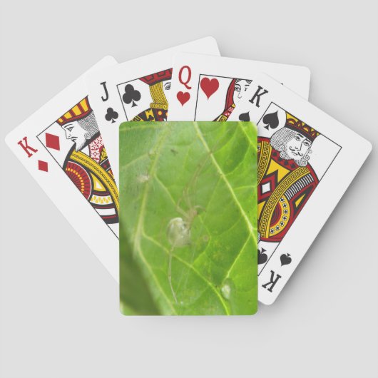 Kleine Spider-speelkaarten Speelkaarten (Achterkant)