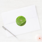 Kleine spinstickers ronde sticker (Envelop)