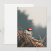 Kleine Springende Spin op Kerstboom Kaarten (Voorkant / Achterkant)