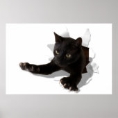 kleine springpannen poster (Voorkant)