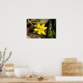 Kleine sprinkhaan op het Gele Poster van Star Gras (Keuken)