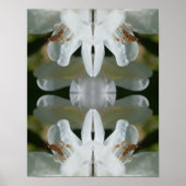 Kleine sprinkhaan op White Azalea Flower Abstract Poster (Voorkant)