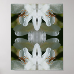Kleine sprinkhaan op White Azalea Flower Abstract Poster