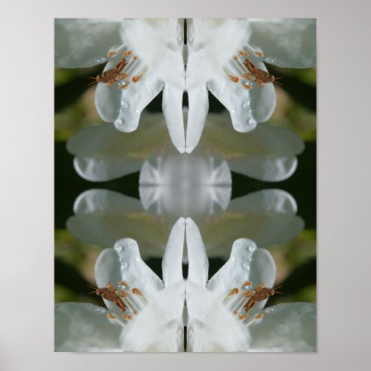 Kleine sprinkhaan op White Azalea Flower Abstract Poster (Voorkant)