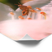 Kleine sprinkhaan op witte azalea bloem 8x8 foto afdruk (Hoek)