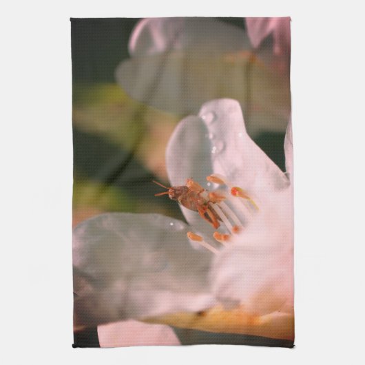 Kleine sprinkhaan op witte zalea theedoek (Verticaal)