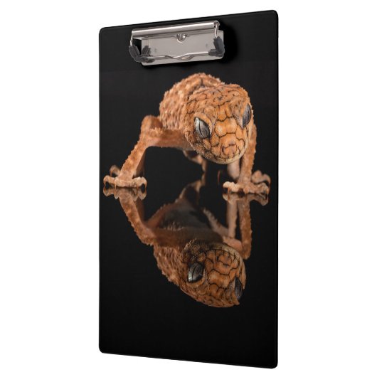 Kleine staafhageweerstand met reflectie klembord (Links)