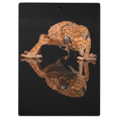 Kleine staafhageweerstand met reflectie klembord (Achterkant)