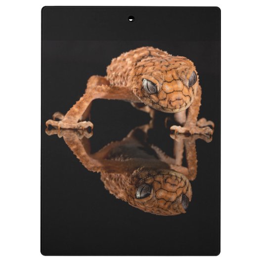 Kleine staafhageweerstand met reflectie klembord (Achterkant)