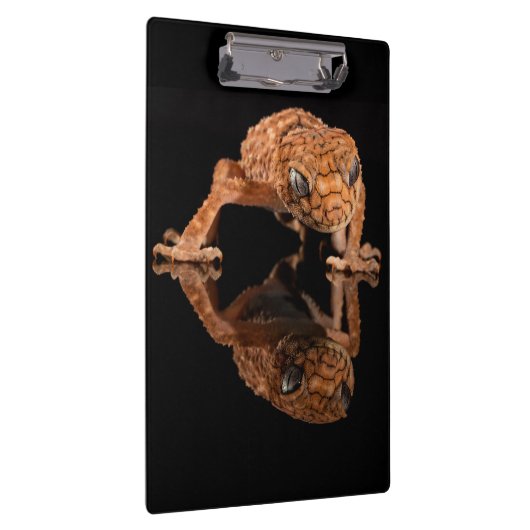 Kleine staafhageweerstand met reflectie klembord (Rechts)