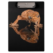 Kleine staafhageweerstand met reflectie klembord (Voorkant)