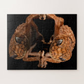 Kleine staafhageweerstand met reflectie legpuzzel (Horizontaal)