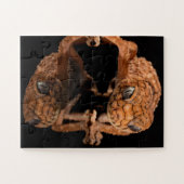 Kleine staafhageweerstand met reflectie legpuzzel (Horizontaal)