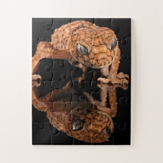 Kleine staafhageweerstand met reflectie legpuzzel (Verticaal)