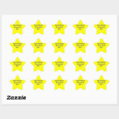 Kleine stappen 2011 ster sticker (Vel)