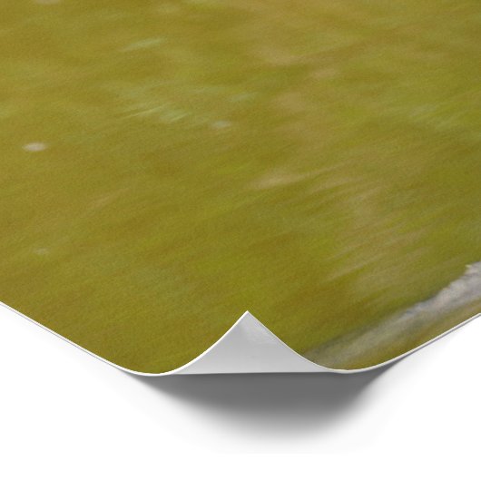 Kleine stekker op tak poster (Hoek)