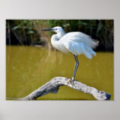 Kleine stekker op tak poster (Voorkant)